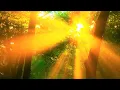 Download Lagu The Secret Life of Trees /Amazing Nature Documentary/ High-Quality /Unusual animals, birds, plants
