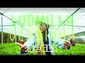 Download Lagu Ludmilla - Verdinha (DJ Régis Remix)