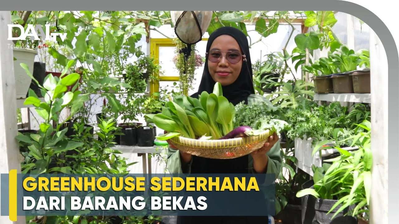 Ide Membuat Greenhouse dari Barang Bekas Ide Membuat Greenhouse dari Barang Bekas