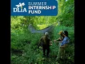 DliA Summer Internship