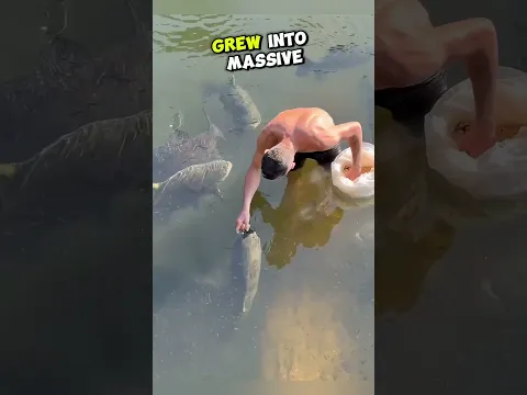 He Saved Tiny Fish From Mud... Years Later, THIS Happened! 🐟🥹✨ #shorts #pets