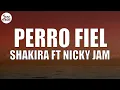 Download Lagu Shakira - Perro Fiel (Letra) ft. Nicky Jam