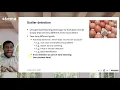 Identify and Handle Outliers - Data Cleansing