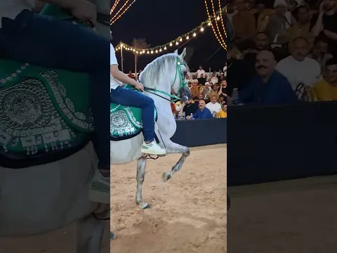 اجمل خيل رقص