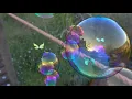 Download Lagu シャボン玉とモルフォ蝶2 ／ soap bubbles and morpho butterflies 2