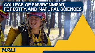 From Forests to Space Why Thousands of STEM Students Are Choosing NAU s R1 Research Experience