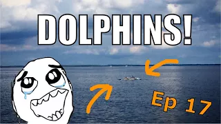 Sailing Wisdom: DOLPHINS! | Ep 17