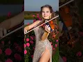 Download Lagu When Nature Listens: Karolina Protsenko’s Magical Violin 🌿✨