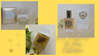 عطور ديفوشن دولتشي اند غابانا هير جولدن سيكرت انتونيو بانديراس بال دي اورينت اتيليه ريبل  عطر  عطور دندنها