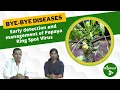 Early detection and management of Papaya Ring Spot Virus
