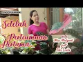 Download Lagu setelah pertemuan pertama
