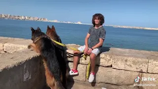 اسماعيل الوحش دندنها