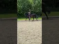 Download Lagu Training met Rex #amazing #ponylove