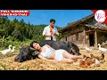 Download Lagu Cô Gái Quê Dùng Cái Ngàn Vàng Cứu Mạng Tổng Tài, 30 Năm Sau Anh Quay Lại Là Tỷ Phú Cưới Cô