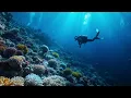 Dancepop/ARTY x RANI - Freefall