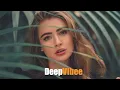 Download Lagu RILTIM - Night Love / Original Mix / DeepVibee