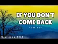 Lagu If You Don't Come Back (Lyrics) - Beautiful Sad Songs 2025 | Lyric KB