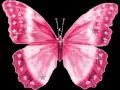Download Lagu Mariposa traicionera - Mana