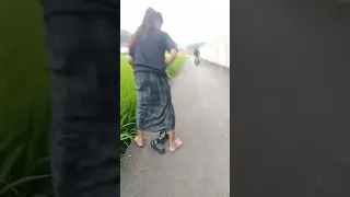                     دندنها