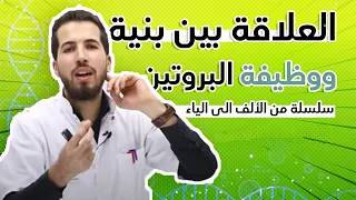 الوحدة 02 العلاقة بين بنية ووظيفة البروتين من الألف إلى الياء 