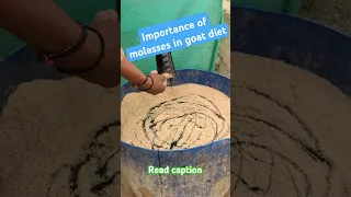 Thanks For More Than 100k Views Importance Of Molasses In Goat Feed 