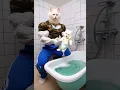 Download Lagu The Kitten's Mess: 🐱💧 Digging Trouble and a Soaked Clean-Up 🌊🛁#cattales #catfunny #animation#cat