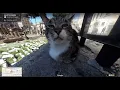 Roma s Cat - Google Maps Anomalies