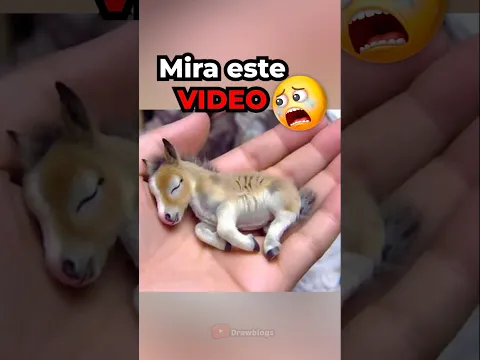 Cosas que No Sabías hace 5 Minutos 🤔🌎 #datoscurisos