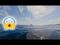 Download Lagu 😨Almost Got Caught By A Trolling fishing Boat While Spearfishing
