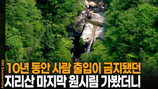 가고 싶어도 갈 수 없던 미지의 계곡, 지리산 최후의 원시림 가봤더니 | KBS 환경스페셜 20080611 방송 썸네일