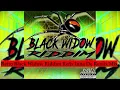 Retro Black Widow Riddim Refix Inna De Remix Mix