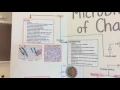 Ch 6 Part II Cast of Characters Acellular Microbes Prions Viruse