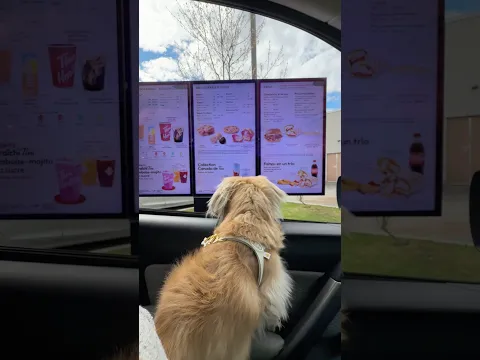 Daphne buys a pupcup at the drive-thru