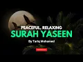 Download Lagu Surah Yasin (Yaseen)  ||  سورة يس كاملة  || Qari Tareq Mohammed  || (Extremely Powerful Surah)