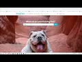 HOW TO GET FREEBIES FOR YOUR DOG