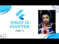 What is flutter All about How Flutter Works In Hindi
