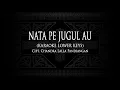Download Lagu Nata Pe Jugul Au (Karaoke Lower Keys) Cipt. Chandra Lalla Pandiangan #KaraokeLaguBatak