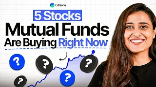 Smallcap Funds Are Buying These 5 Stocks — Here's Why