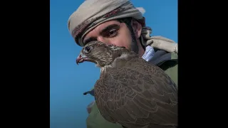 يا طير لك نيه 