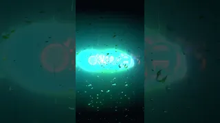 صحتي طاحت من تخماااام Chebawarda 