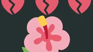 وانا زيك برضو واكتر 