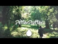 SACHI - Hold On  | PitterPatter