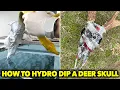 How To Hydro Dip A Deer Skull 2025