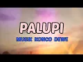 Download Lagu PALUPI palupi Karaoke MUSIK KONCO DEWE, full lirik dan klip, ee ono prawan ayu..