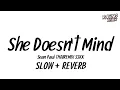 Lagu DJ SLOW SHE DOENST MIND THAIREMIX SSKK Ver.BUSTEC | RACING REMIX X2