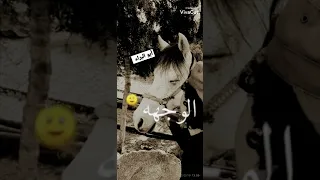 حالات واتس أب يارب لاتجعل لنا موقف حرج 