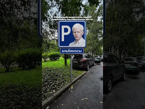 Обычный водитель ищет парковку на обычном авто