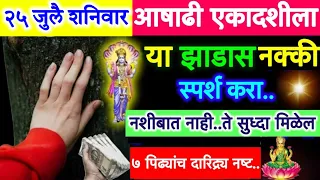 २५ जुलै #आषाढी एकादशीला या झाडाला नक्की स्पर्श करा, आयुष्याचं सोनं💰झाल्याशिवाय राहणार नाही.!!