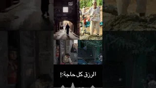 الرزق مش حبه فلوس يدفو جيبك حالة واتس الرزق محمود الليثي وعبدالرحمن رشدي دندنها