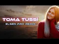 Download Lagu Elsen Pro - Toma Tussi